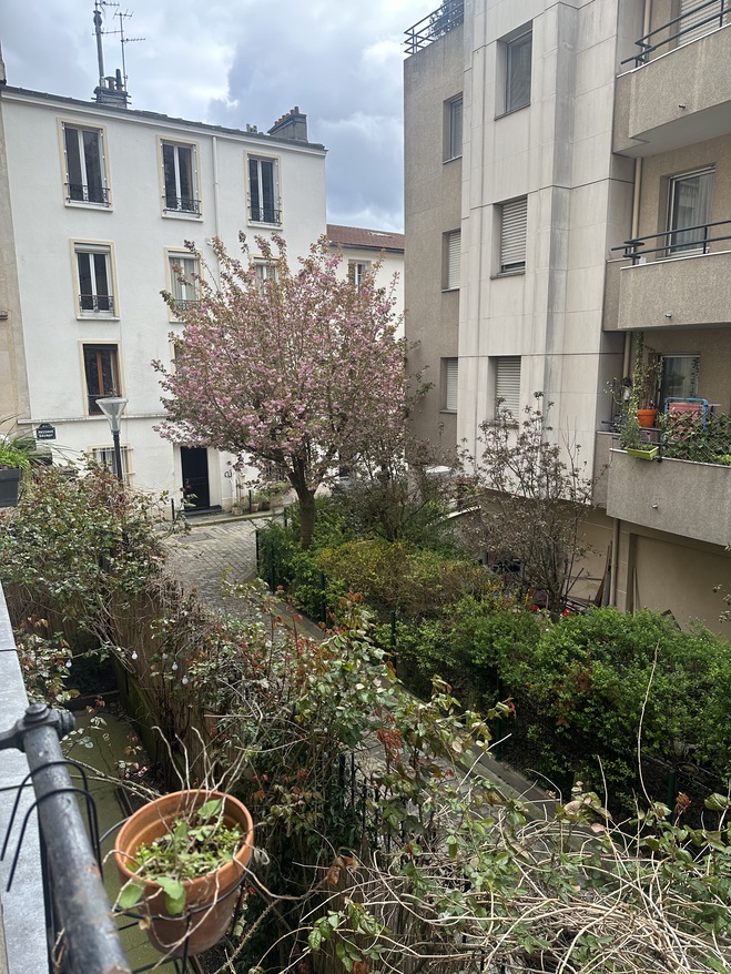 Appartement Paris 18ème