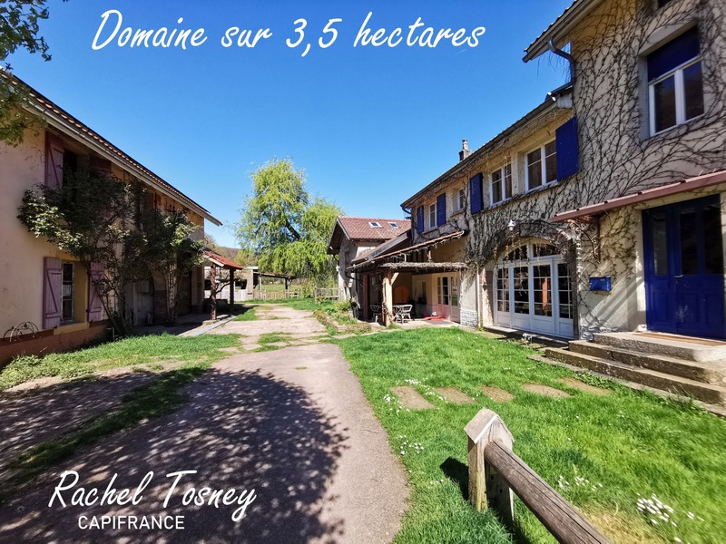 Dpt Haute-Saône (70), à vendre