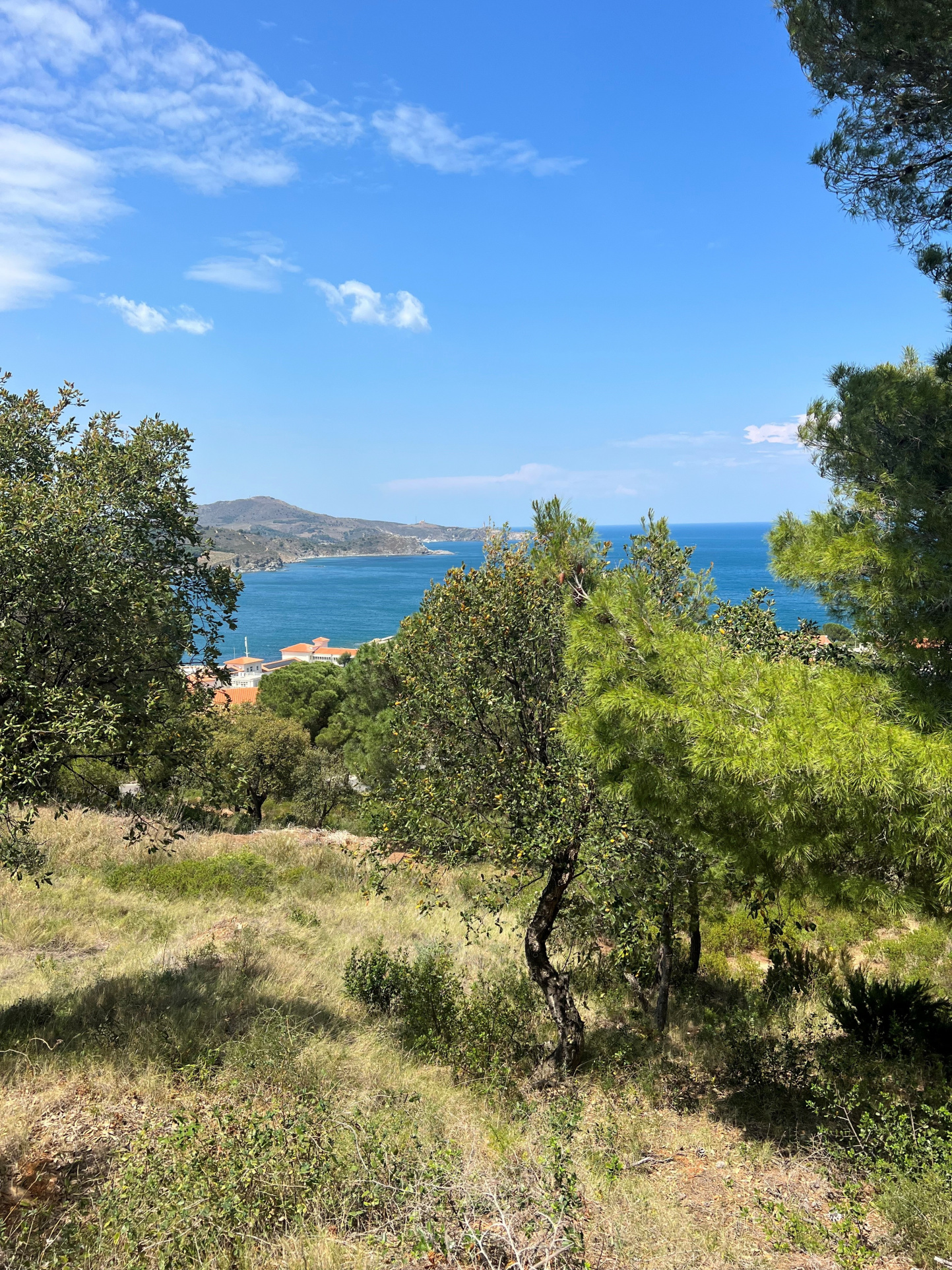 Programme immobilier neuf EXCEPTIONNEL BANYULS SUR MER