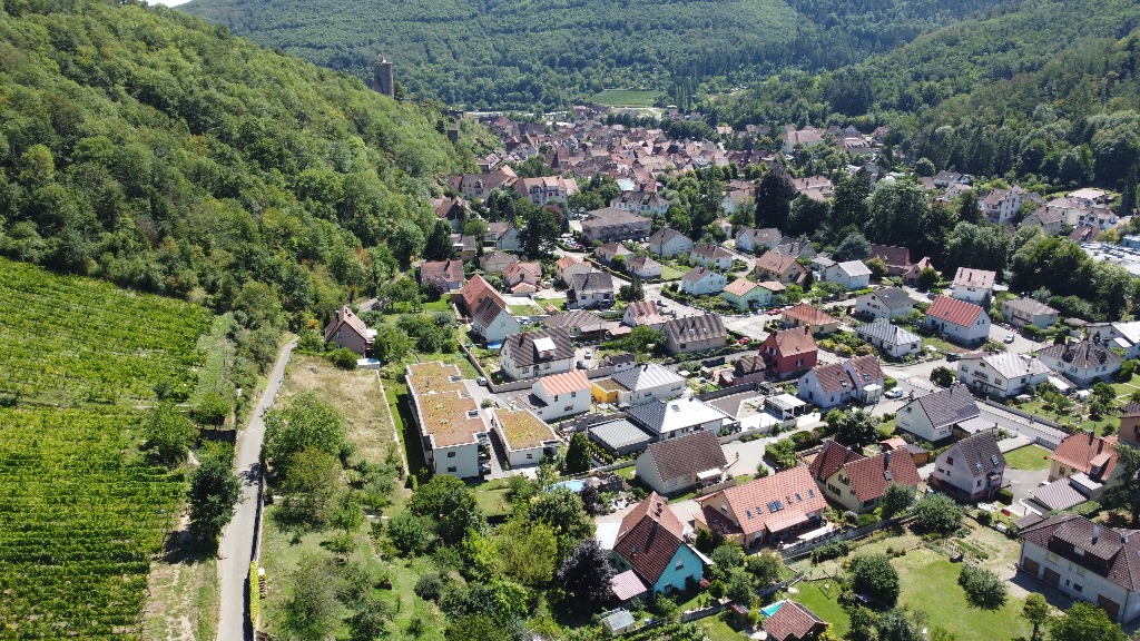Les terrasses du Schlossberg