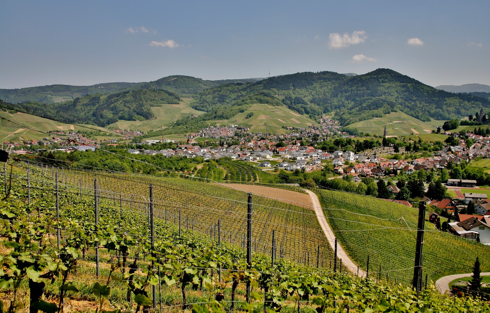 Programme immobilier neuf LE CLOS DU VIGNOBLE