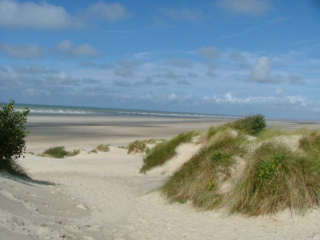 Programme immobilier neuf Les cottages Dunes & Mer