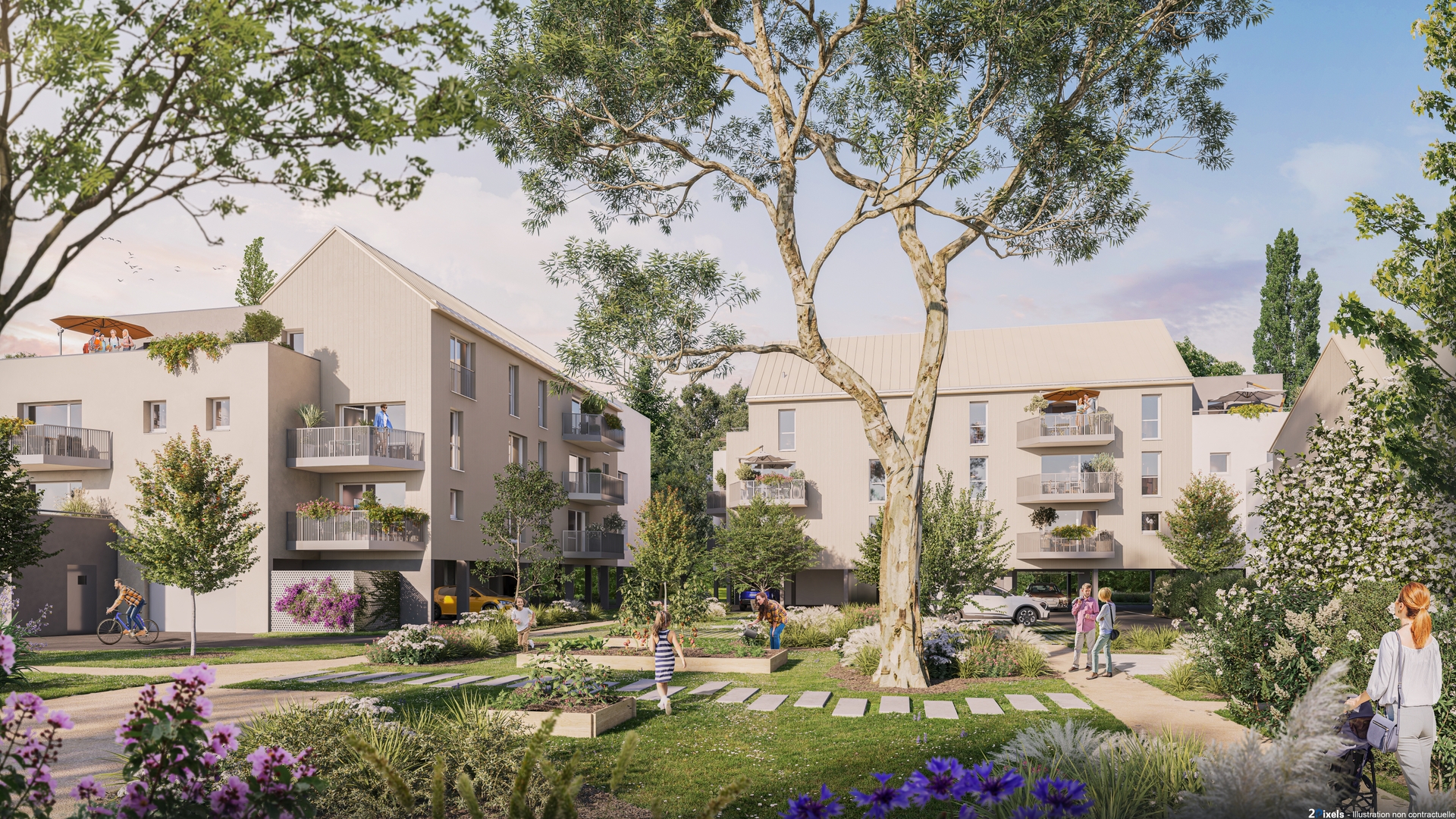 Programme immobilier neuf NYMPHEA