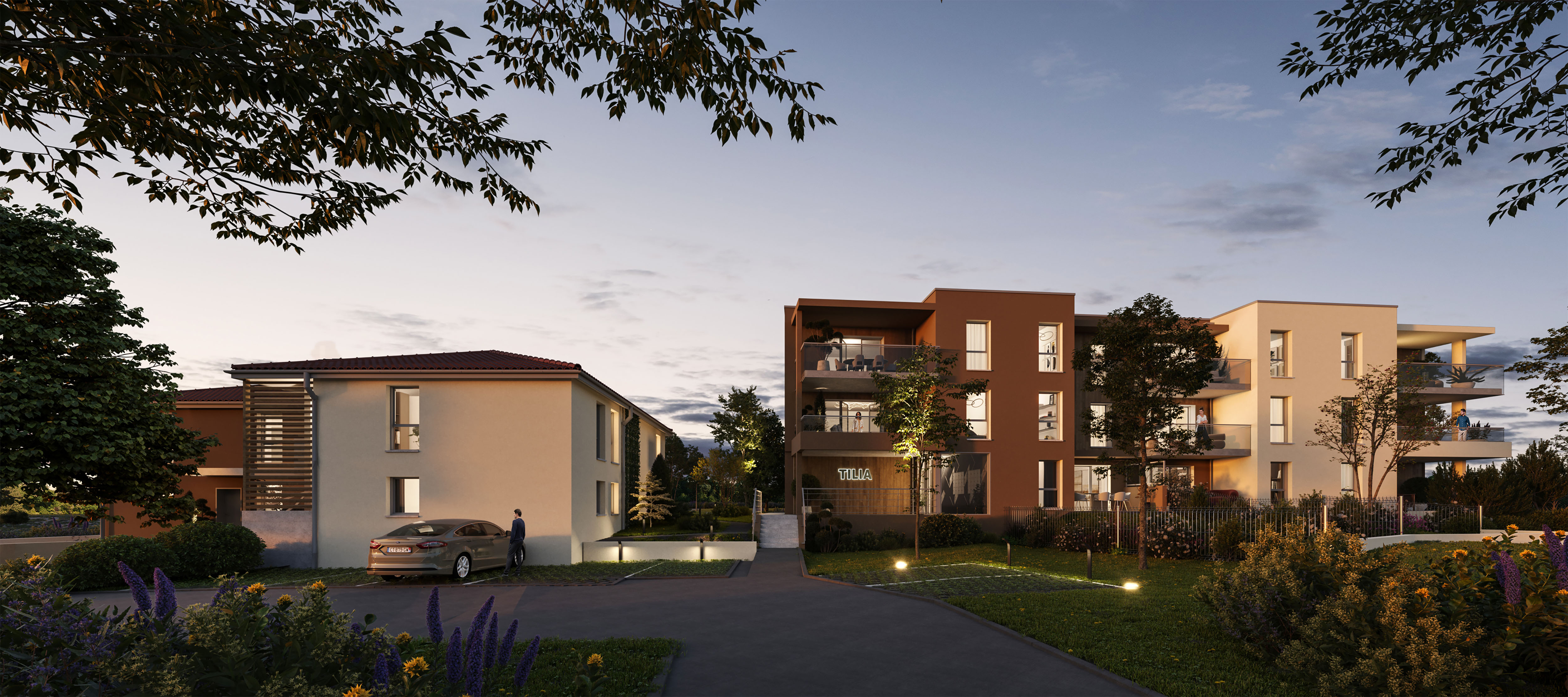 Tilia