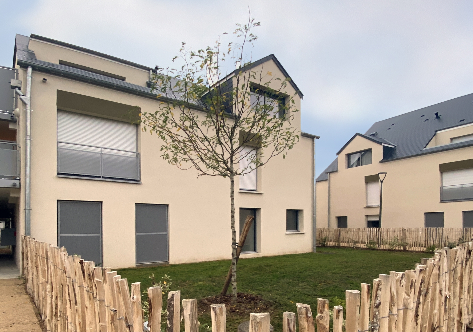 Image 1 sur 5 du lot