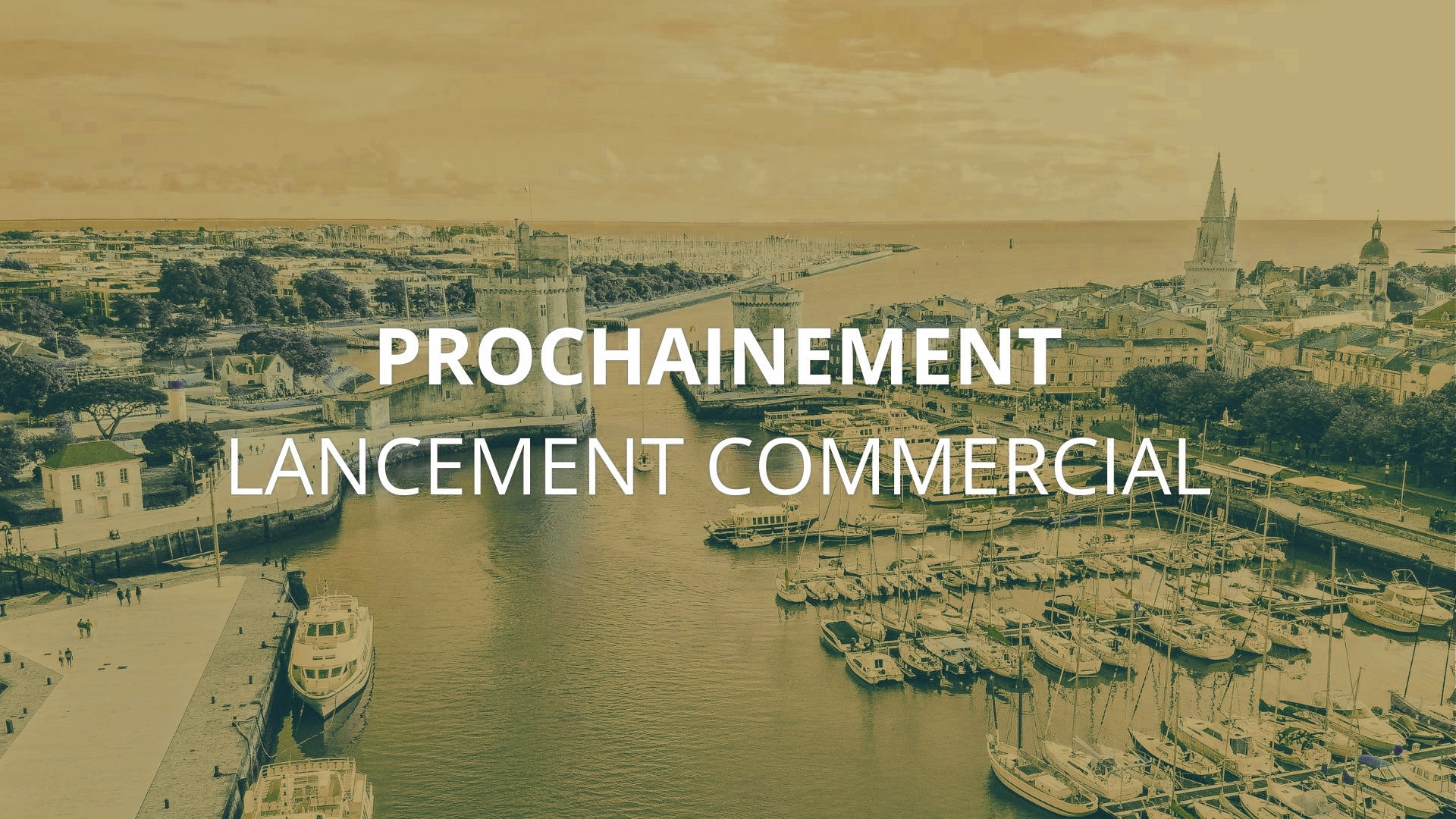 Image 1 sur 5 du lot