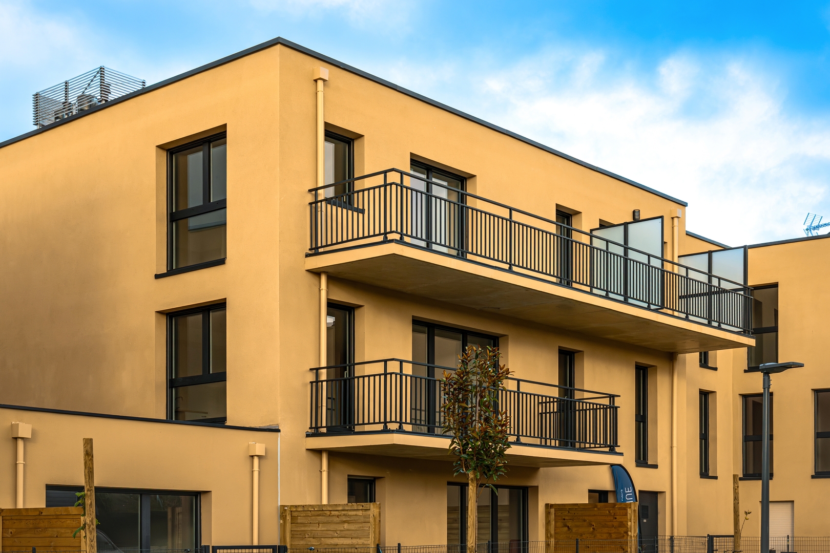 Image 1 sur 7 du lot