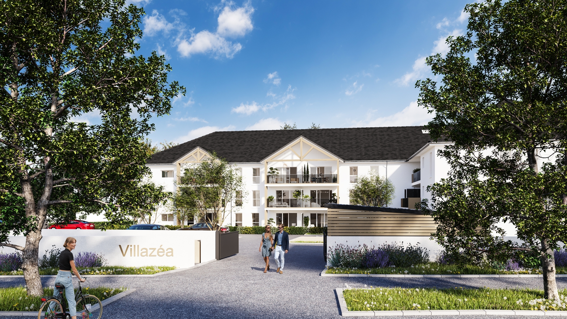 Image 1 sur 3 du lot