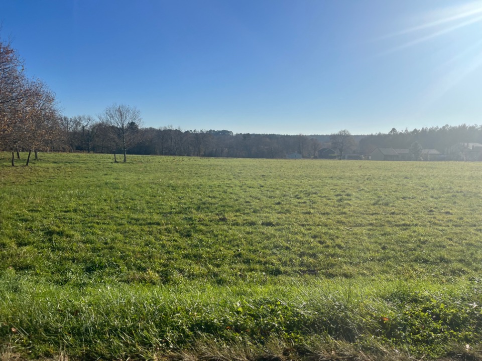 Terrain à partir de 700m² à Casteljaloux à Casteljaloux