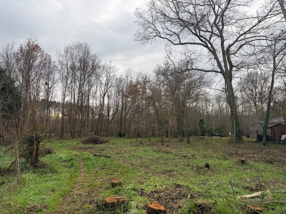 Terrain À Partir de 650m² À Saint-Selve