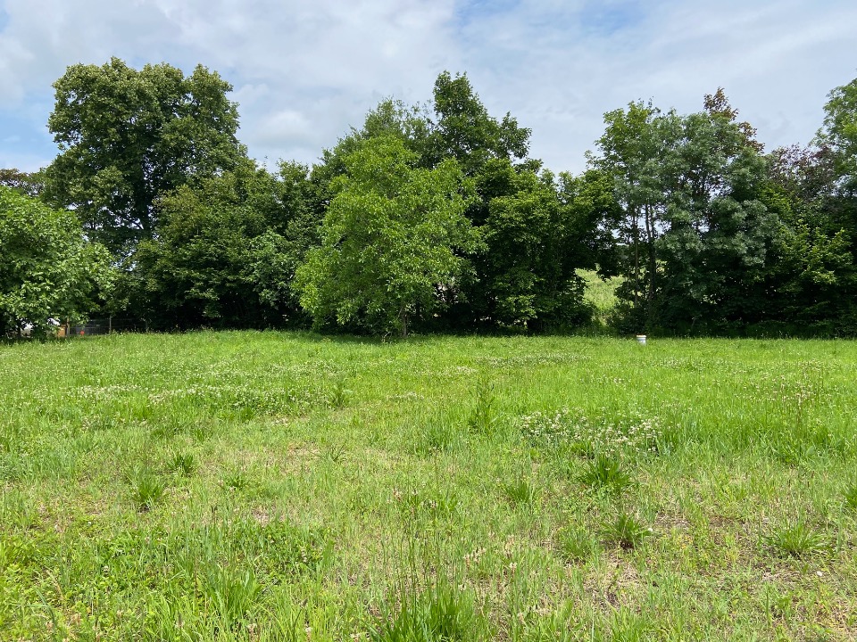 Terrain À Partir de 600m² À Saint-Quentin-de-Baron