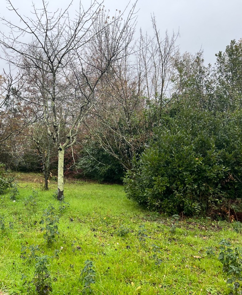 Terrain à partir de 660m² à Parempuyre à Parempuyre