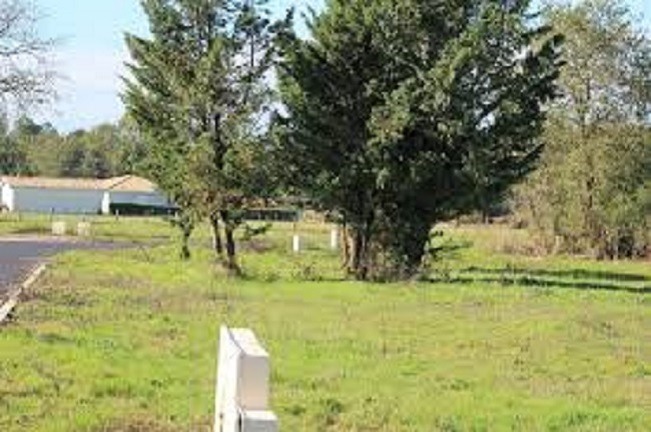 Terrain À Partir de 326m² À Belin-Béliet
