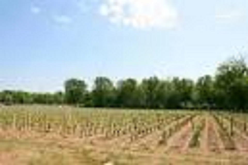 Terrain À Partir de 515m² À Cérons