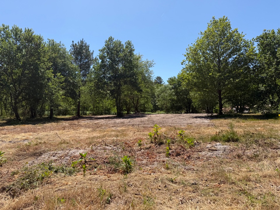 Terrain à partir de 1246m² à Balizac à Balizac