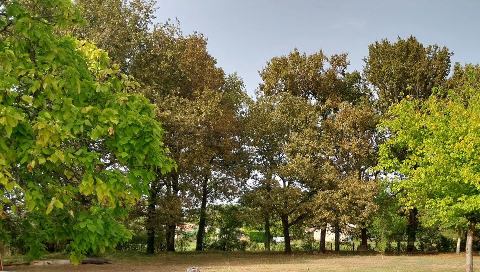 Terrain à partir de 600m² à Saint-Sulpice-et-Cameyrac à Saint-Sulpice-et-Cameyrac
