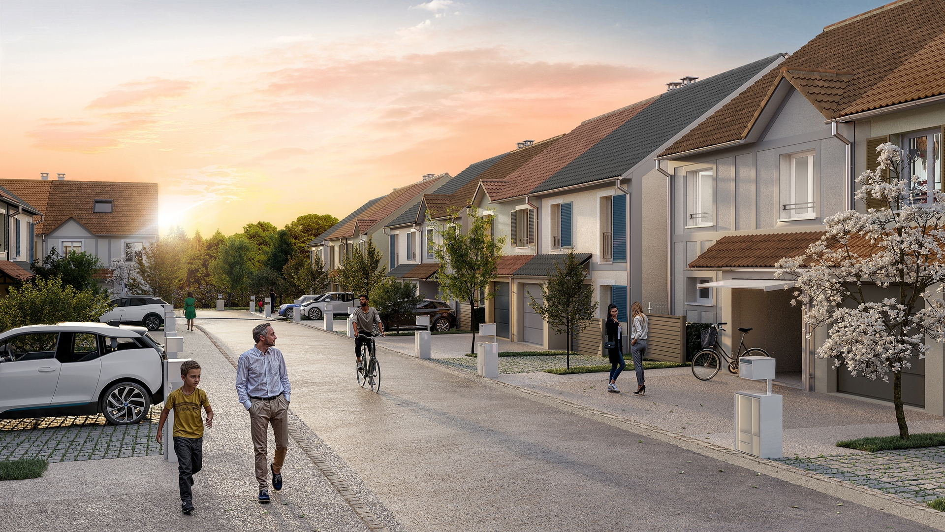 Image 1 sur 3 du lot