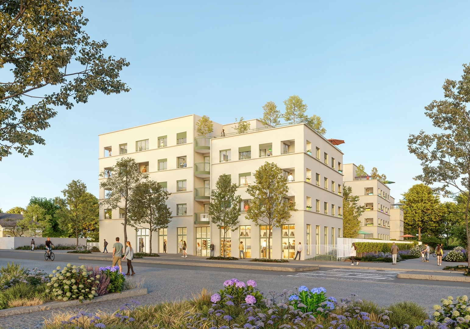 Image 1 sur 3 du lot