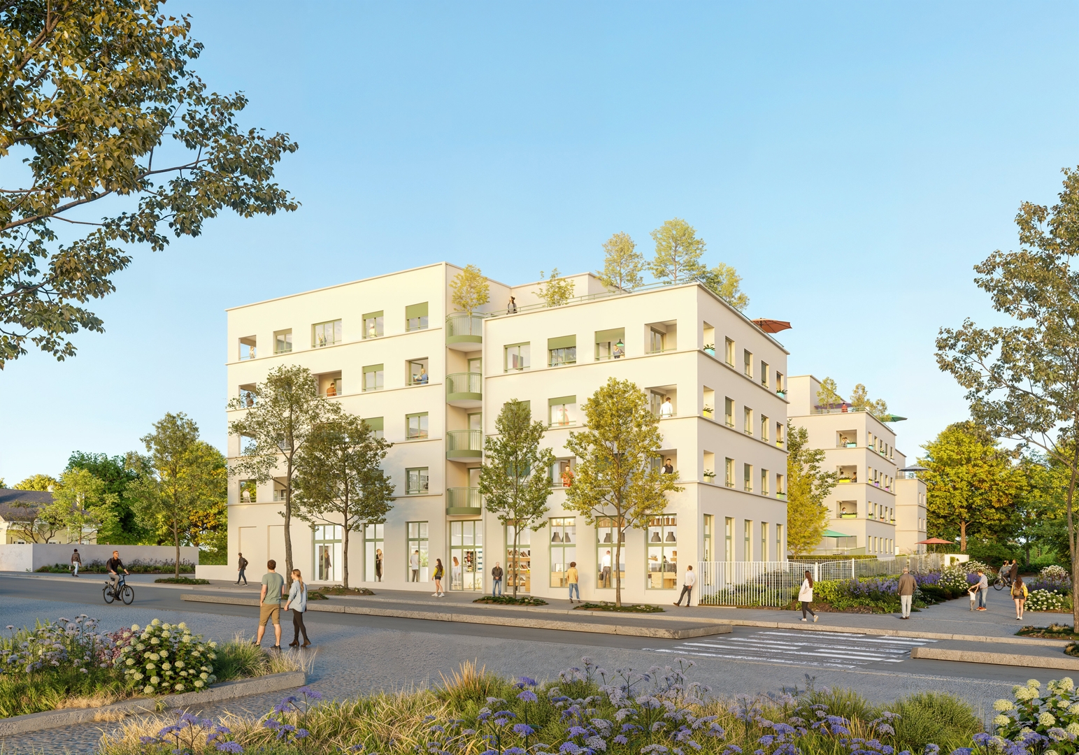 Image 1 sur 3 du lot