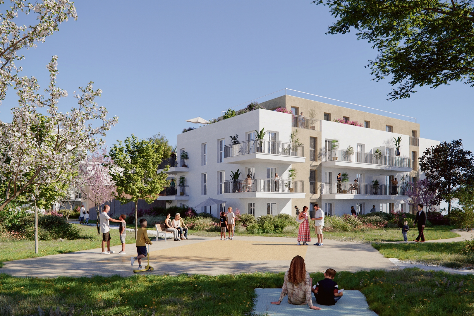 Image 1 sur 4 du lot