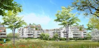 Image 1 sur 5 du lot