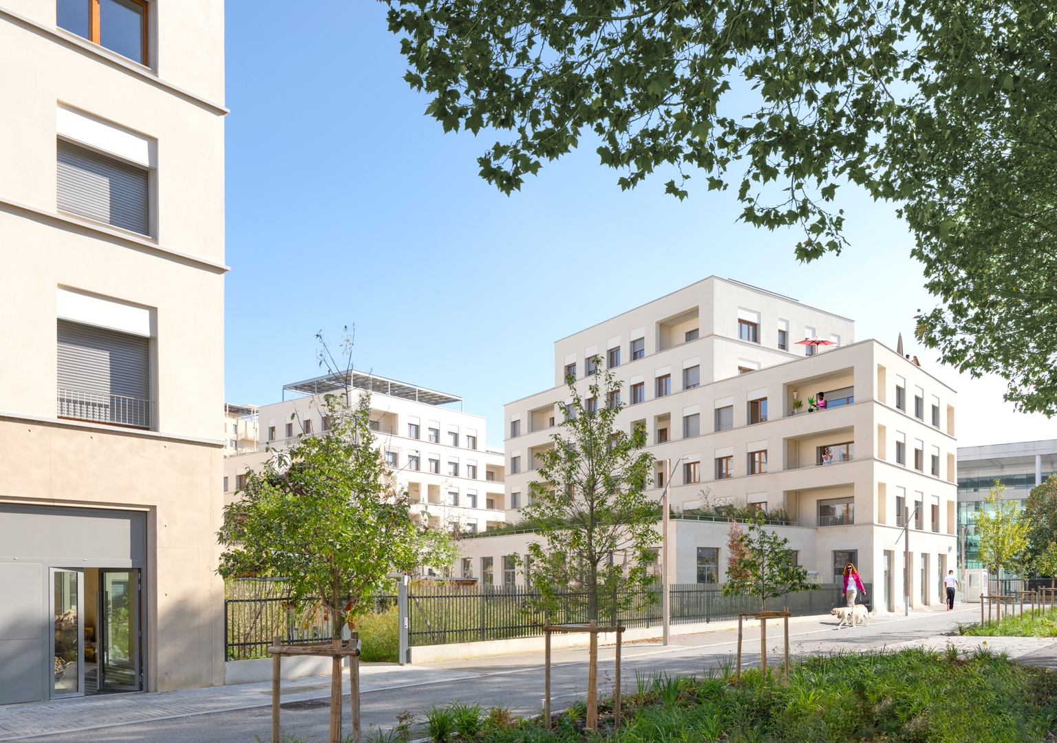 Image 1 sur 8 du lot