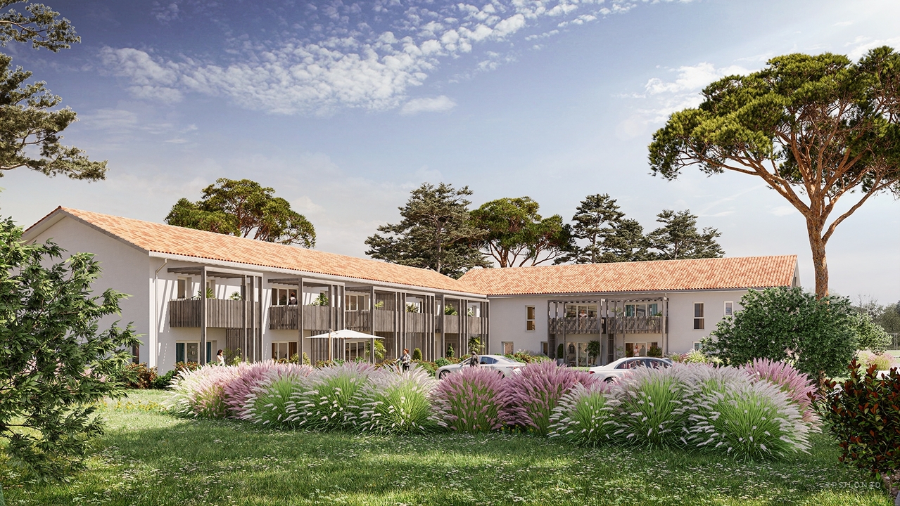 Image 1 sur 4 du lot