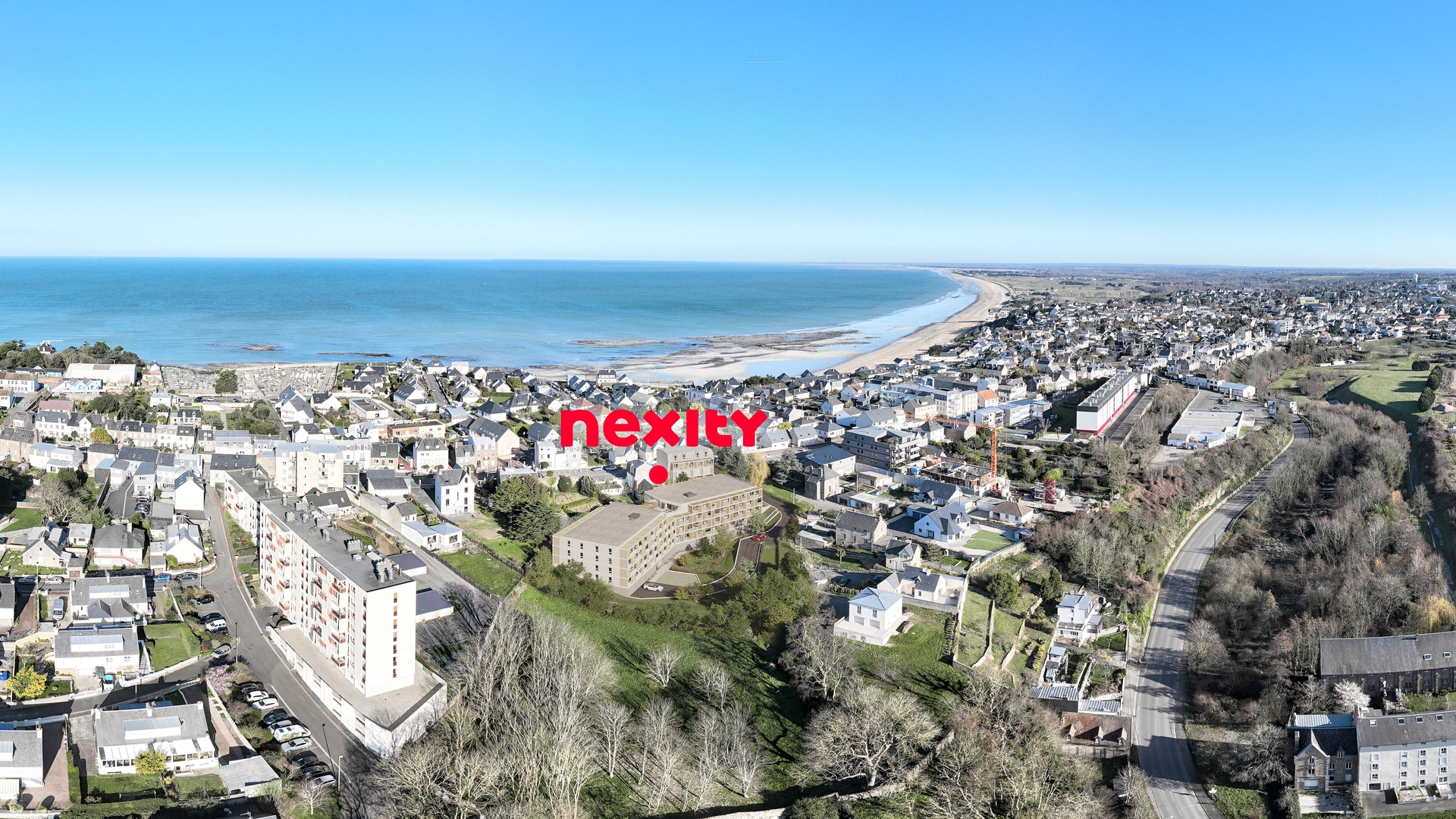 Image 1 sur 5 du lot