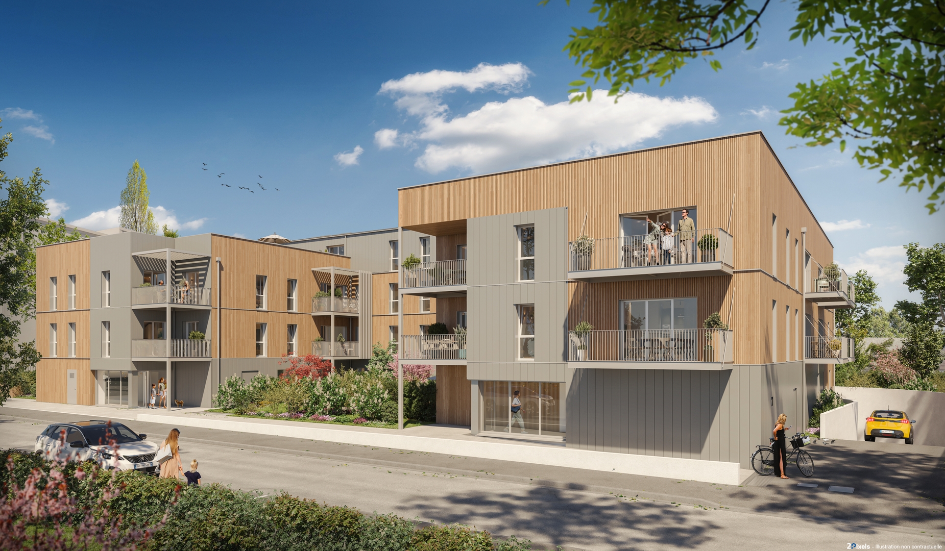 Image 1 sur 5 du lot