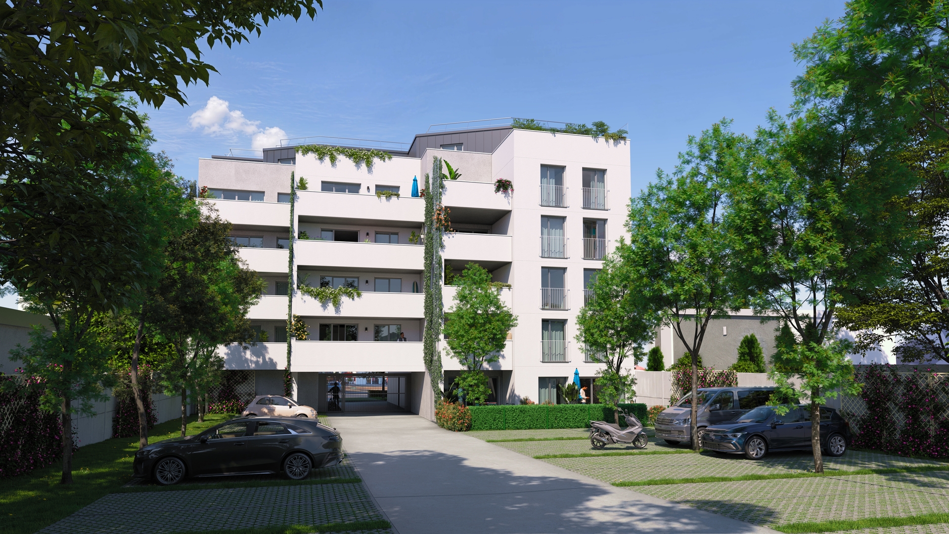 Image 1 sur 3 du lot