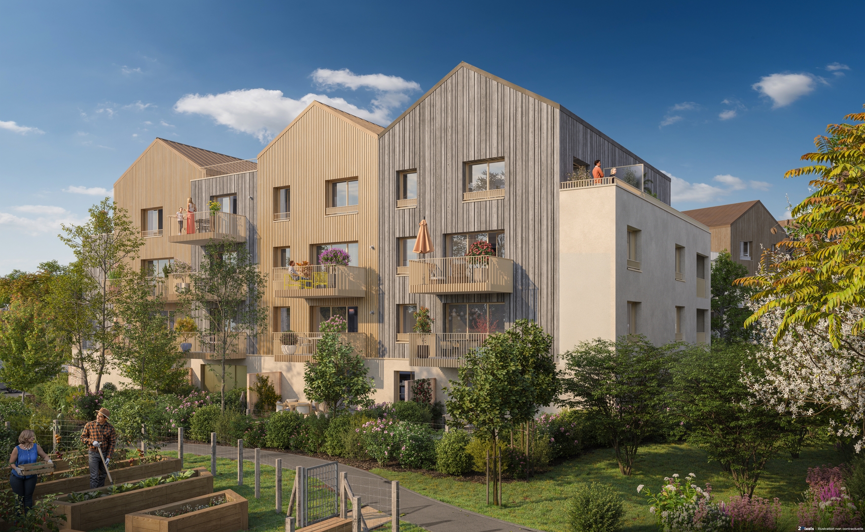 Image 1 sur 3 du lot