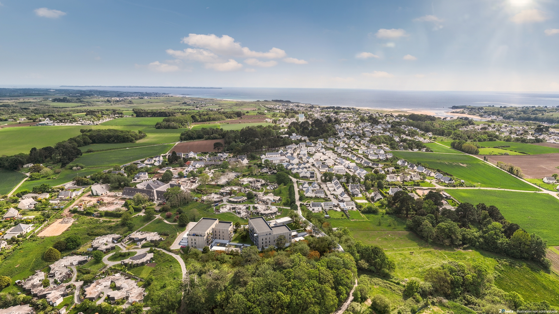 Image 1 sur 5 du lot