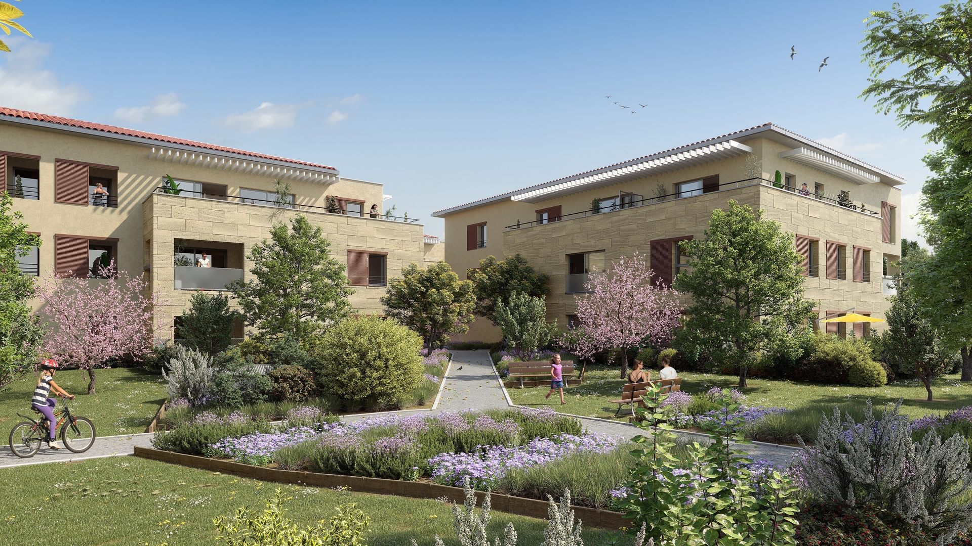 Image 1 sur 4 du lot