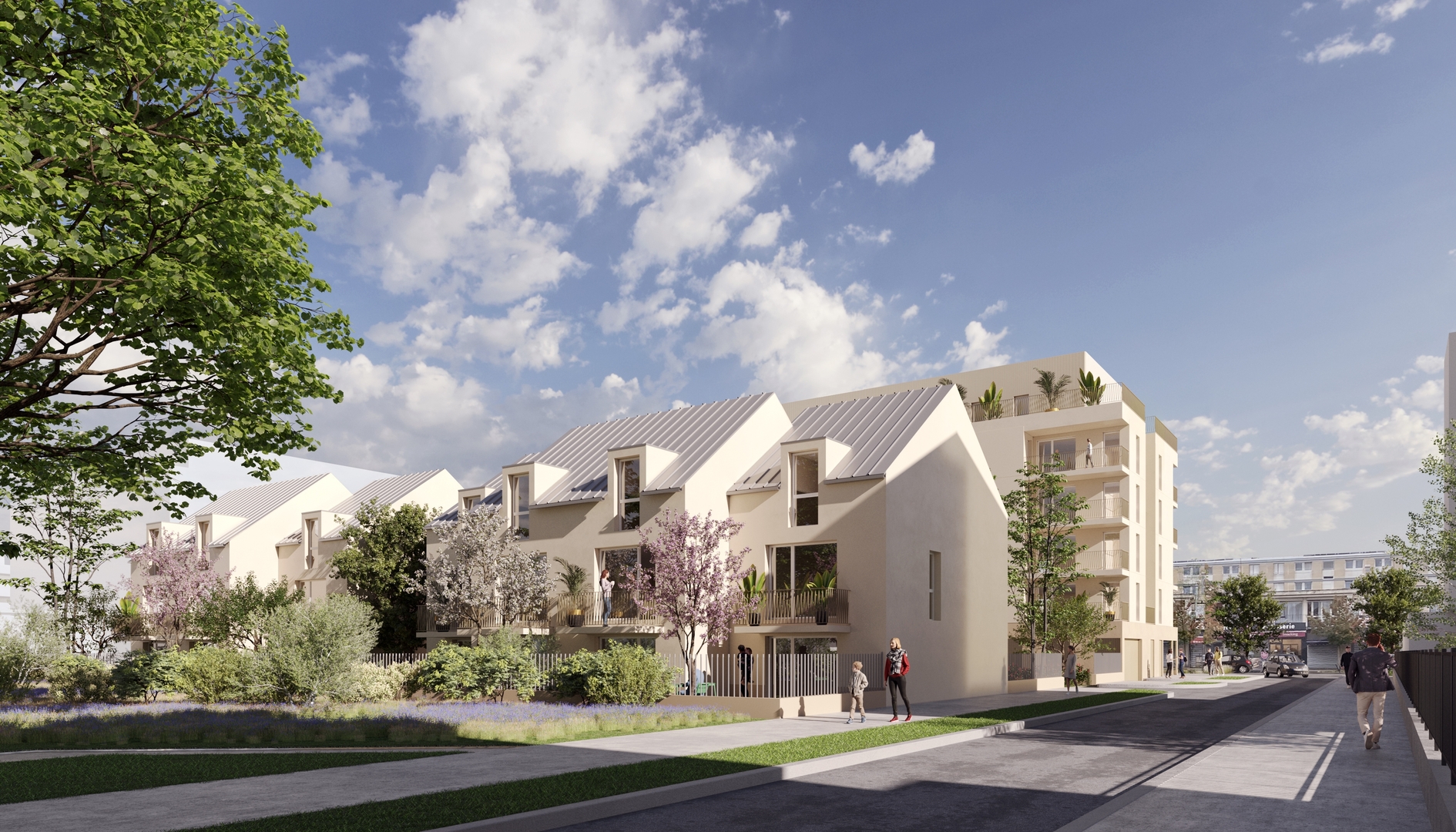 Image 1 sur 5 du lot