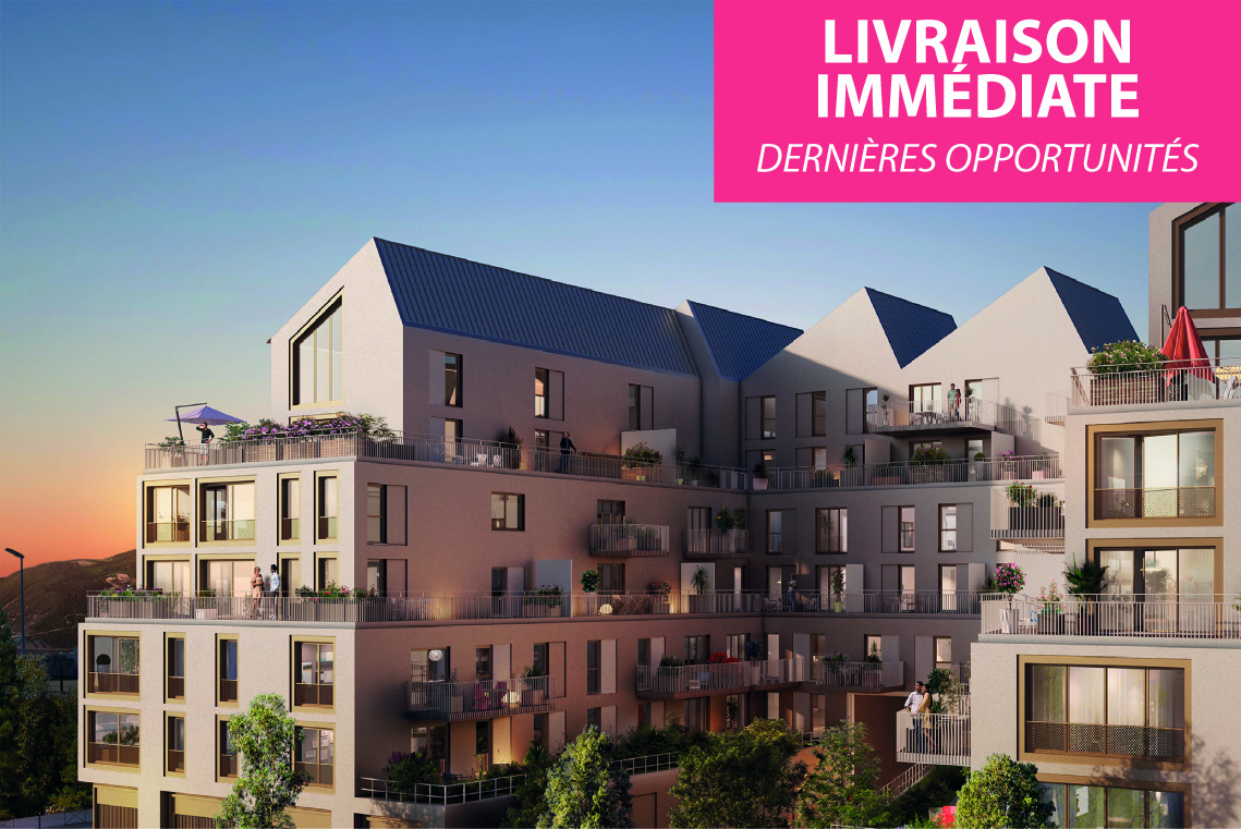 Image 1 sur 3 du lot