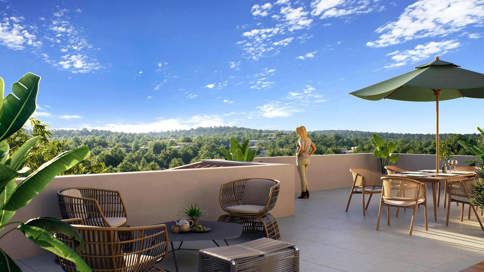 Terra mare à Cogolin