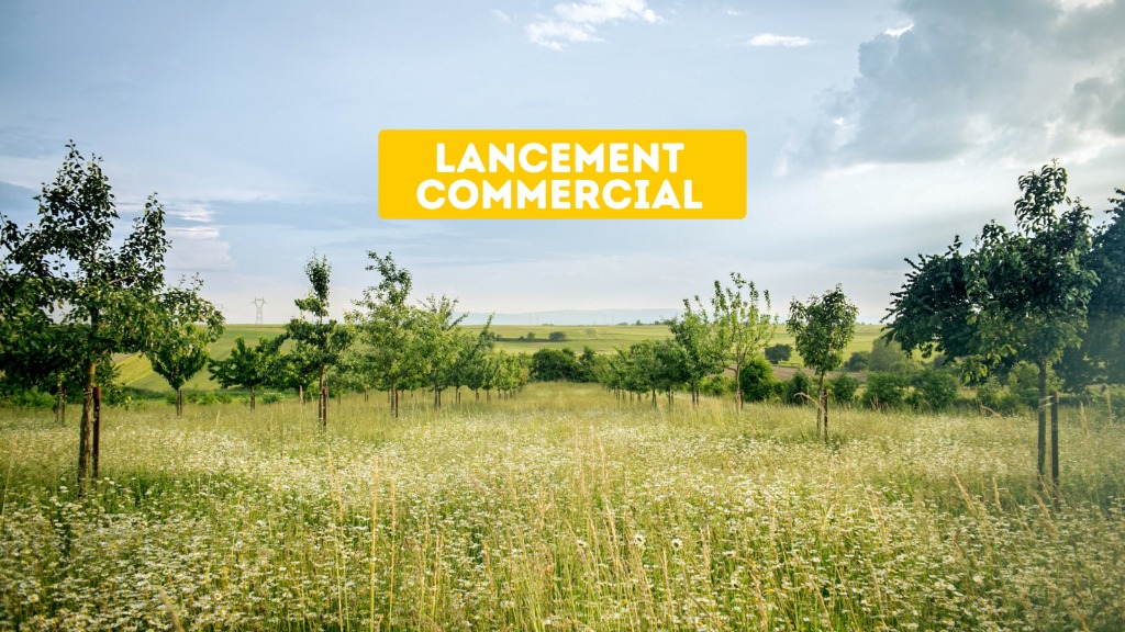 Langmatten