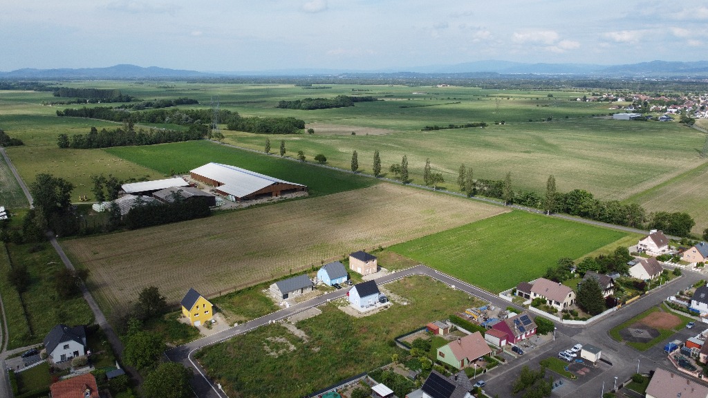 Le Bosquet