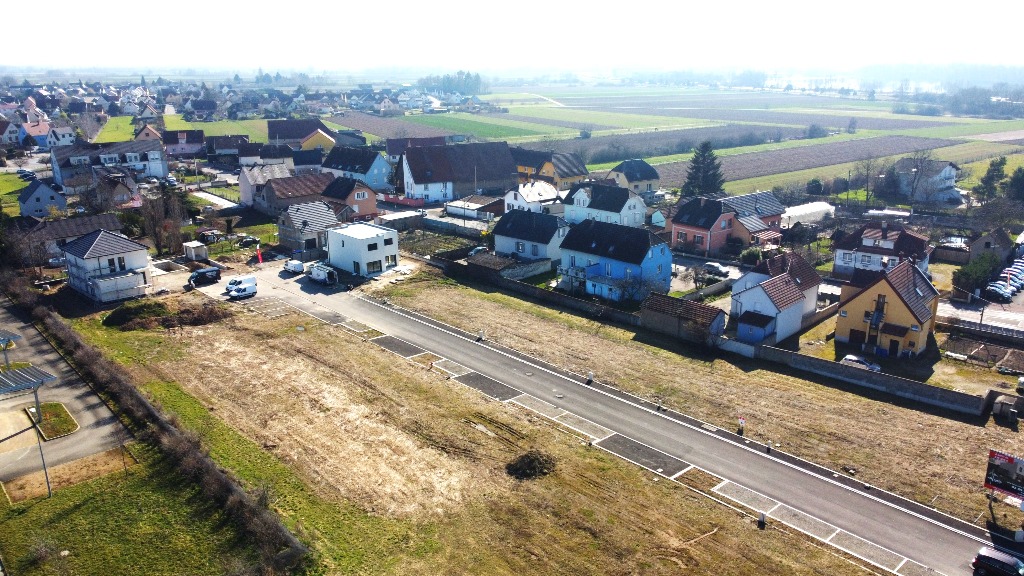 Buhlfeld