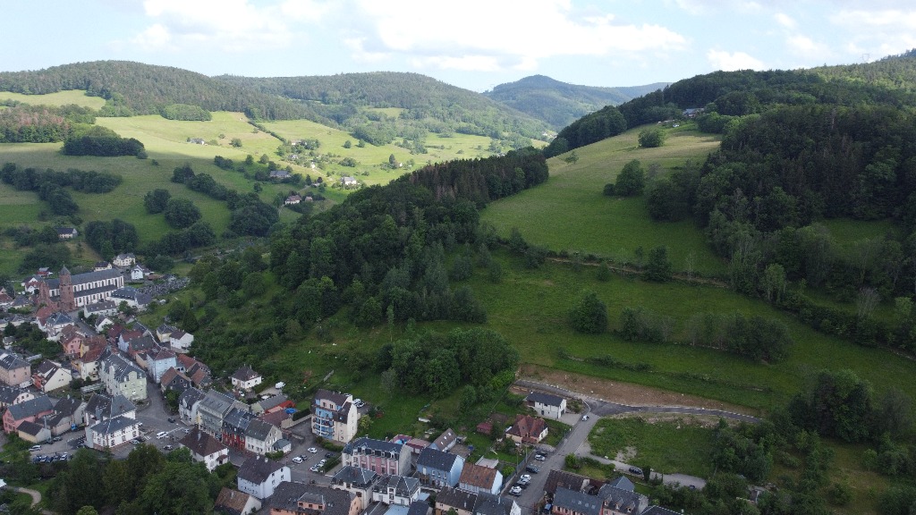 Les Erables